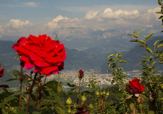 Schlern und Rosengarten sind zum Greifen nah