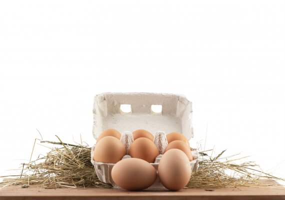 Frische Eier von glücklichen Hühnern