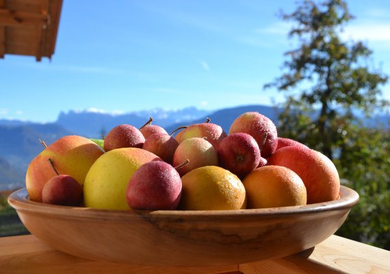 Frisch gepflückte Äpfel